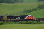 CN 3318